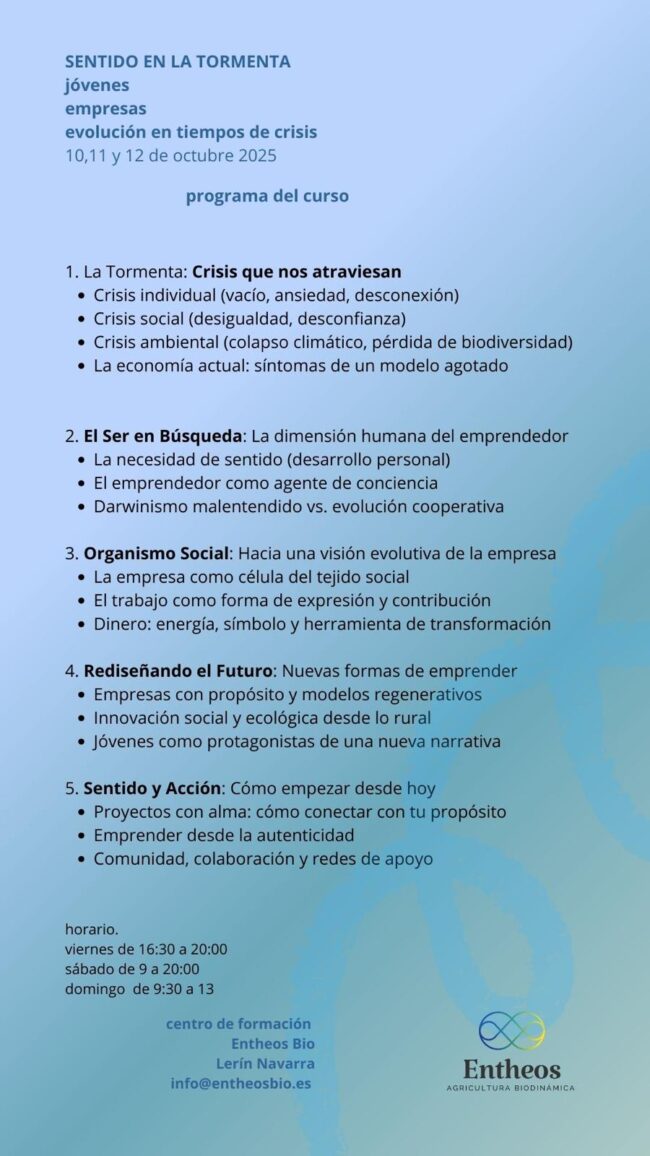Formación Sentido en la Tormenta