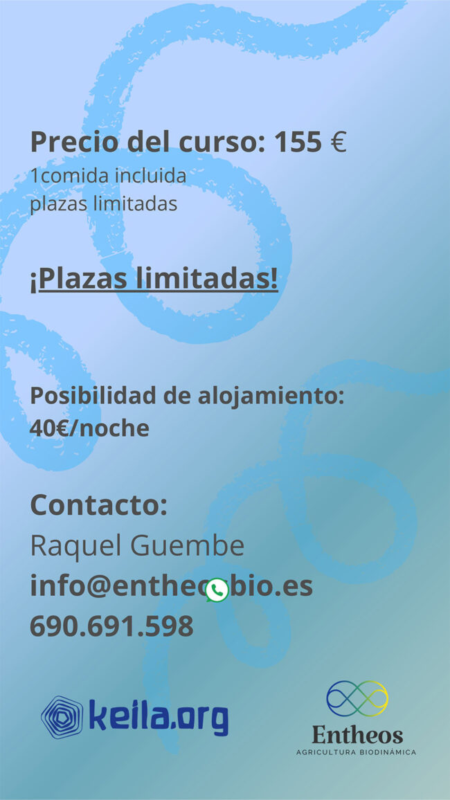 Formación Sentido en la Tormenta - Imagen 3