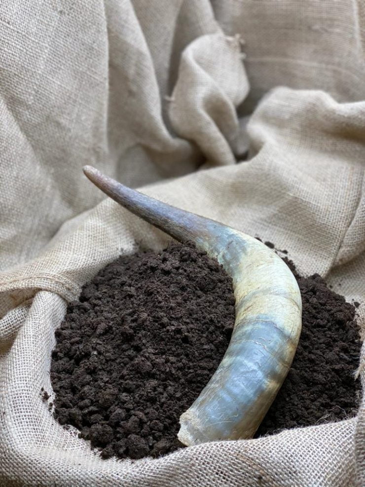 PREPARATORY 500 P - 150 GRS/Ha