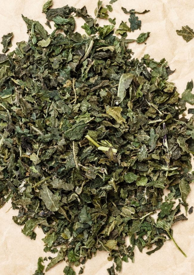 ORTIGA (SECA) - 1KG